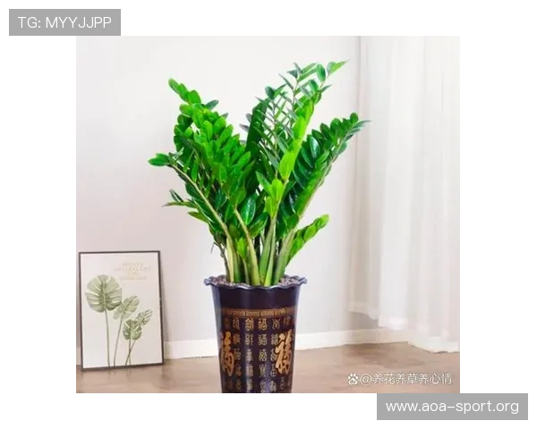 摇钱树与财富密码：探寻植物背后的神奇寓意与象征意义