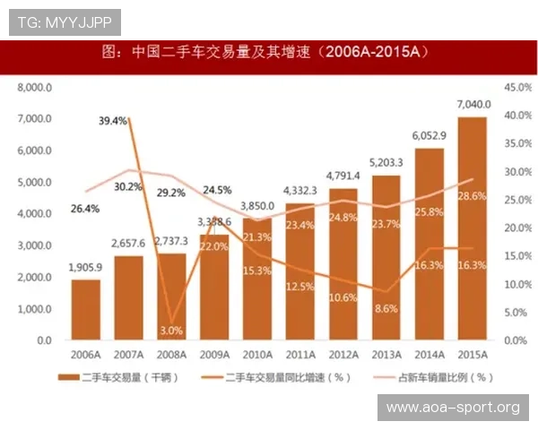 以太阳城公司为核心探讨其发展战略与行业影响分析报告及发展趋势
